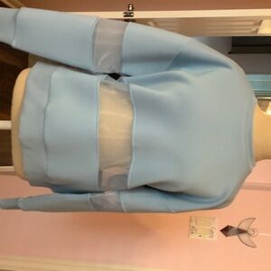 Anthropologie Sky Blue Sheer Panel sweatshirt